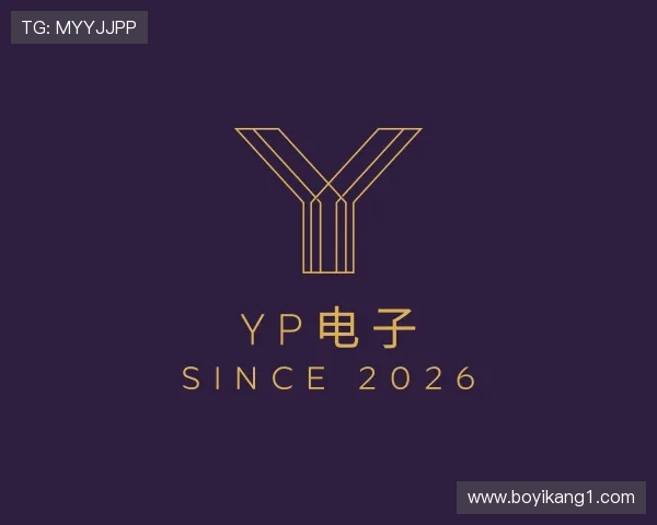 知道YP电子